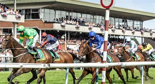 Christmas Afternoon Jump Racing Tickets and Hospitality 2024 at Haydock Park Racecourse